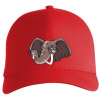 Flexfit Delta cap (180) Vignette