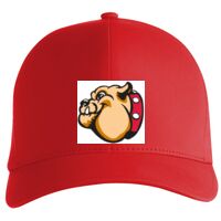 Flexfit Delta cap (180) Vignette