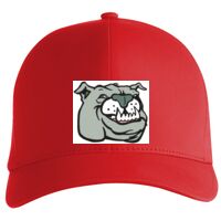 Flexfit Delta cap (180) Vignette