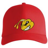 Flexfit Delta cap (180) Vignette