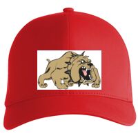 Flexfit Delta cap (180) Vignette