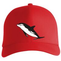 Flexfit Delta cap (180) Vignette