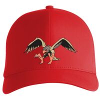 Flexfit Delta cap (180) Vignette