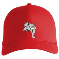 Flexfit Delta cap (180) Vignette