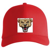 Flexfit Delta cap (180) Vignette