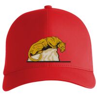 Flexfit Delta cap (180) Vignette