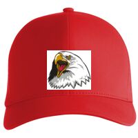 Flexfit Delta cap (180) Vignette