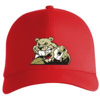 Flexfit Delta cap (180) Vignette