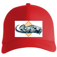 Flexfit Delta cap (180) Vignette