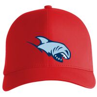 Flexfit Delta cap (180) Vignette