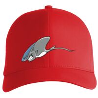 Flexfit Delta cap (180) Vignette