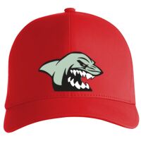 Flexfit Delta cap (180) Vignette