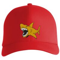 Flexfit Delta cap (180) Vignette