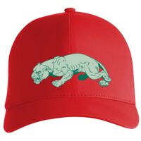 Flexfit Delta cap (180) Vignette
