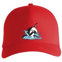 Flexfit Delta cap (180) Vignette