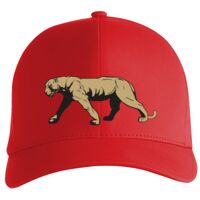 Flexfit Delta cap (180) Vignette