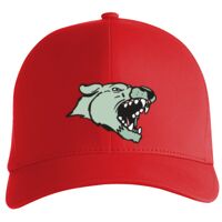 Flexfit Delta cap (180) Vignette