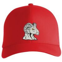 Flexfit Delta cap (180) Vignette