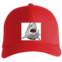 Flexfit Delta cap (180) Vignette