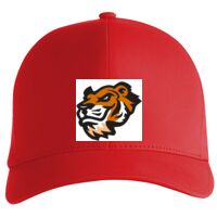 Flexfit Delta cap (180) Vignette