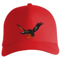 Flexfit Delta cap (180) Vignette