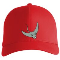 Flexfit Delta cap (180) Vignette