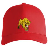 Flexfit Delta cap (180) Vignette