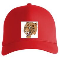 Flexfit Delta cap (180) Vignette