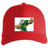 Flexfit Delta cap (180) Vignette