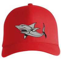 Flexfit Delta cap (180) Vignette