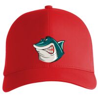 Flexfit Delta cap (180) Vignette