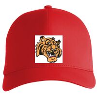 Flexfit Delta cap (180) Vignette