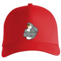 Flexfit Delta cap (180) Vignette