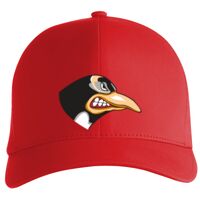 Flexfit Delta cap (180) Vignette