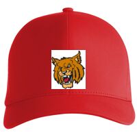 Flexfit Delta cap (180) Vignette