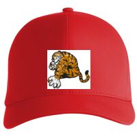 Flexfit Delta cap (180) Vignette