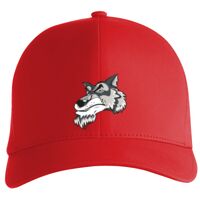 Flexfit Delta cap (180) Vignette