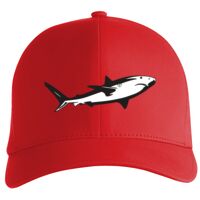 Flexfit Delta cap (180) Vignette