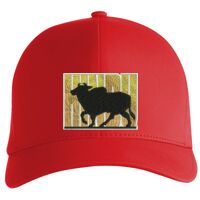 Flexfit Delta cap (180) Vignette