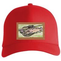 Flexfit Delta cap (180) Vignette