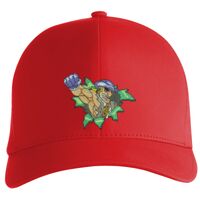 Flexfit Delta cap (180) Vignette