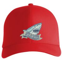 Flexfit Delta cap (180) Vignette