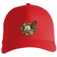 Flexfit Delta cap (180) Vignette