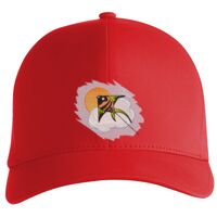 Flexfit Delta cap (180) Vignette