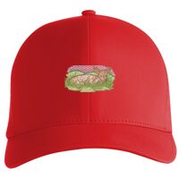 Flexfit Delta cap (180) Vignette