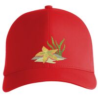Flexfit Delta cap (180) Vignette