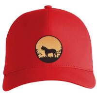 Flexfit Delta cap (180) Vignette