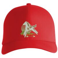 Flexfit Delta cap (180) Vignette
