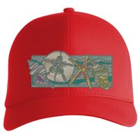 Flexfit Delta cap (180) Vignette