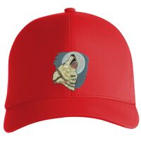 Flexfit Delta cap (180) Vignette